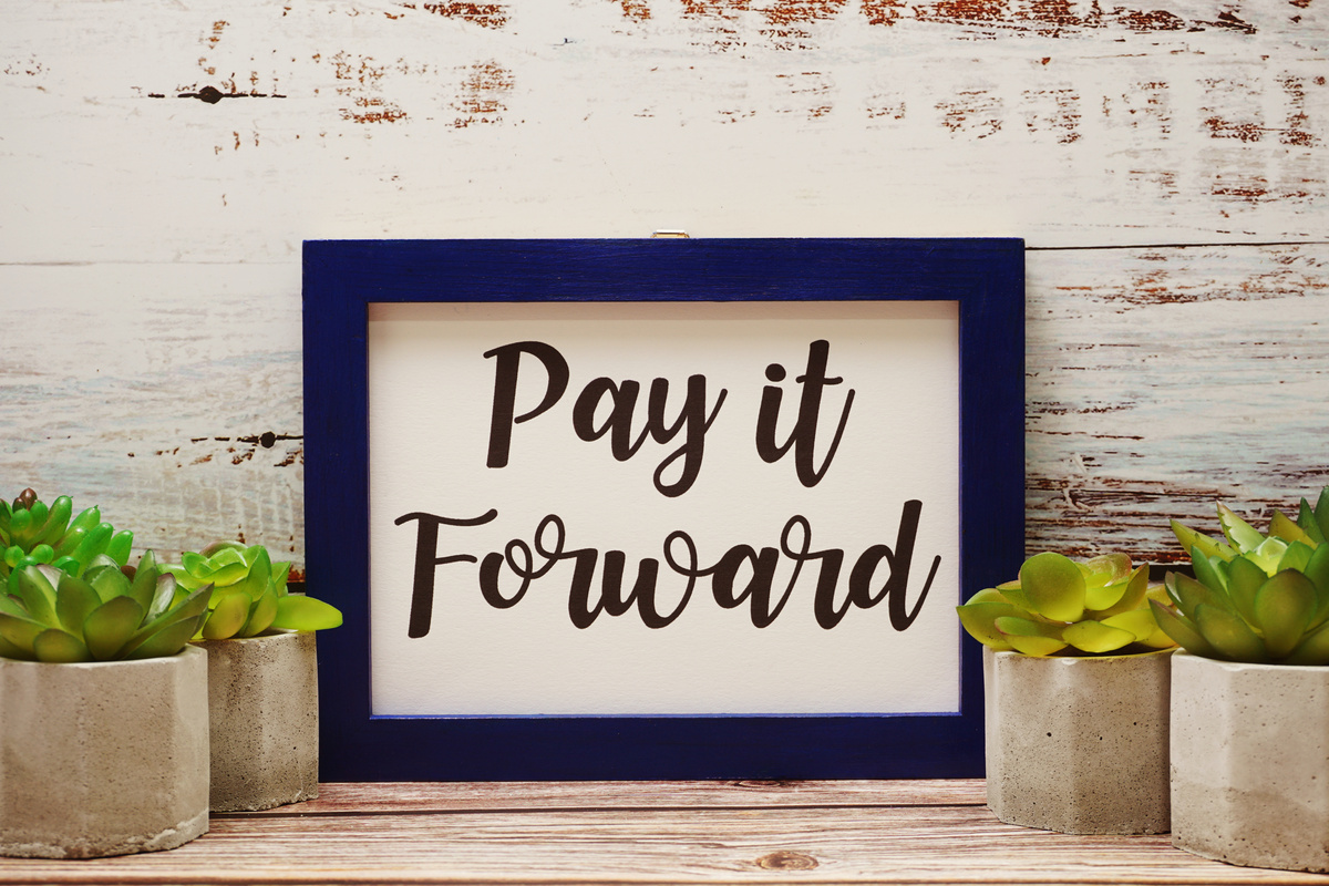 Blue Photo Frame with Pay It forward written and small cactus decoration on wooden background